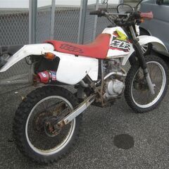 XLR125　川口市より　ホンダ　バイクの画像