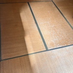 スタイロ畳(12枚ありますの画像
