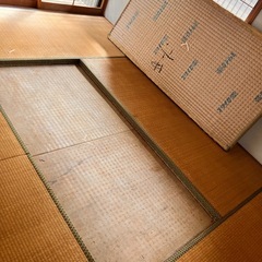 スタイロ畳(12枚ありますの画像