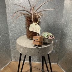 フラワースタンドの画像