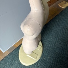 トルソー　マネキン　の画像