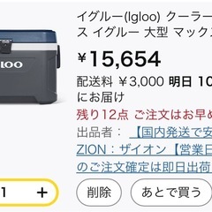 【新品】　クーラーボックス　イグルー　51Lの画像