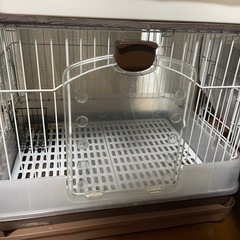 うさぎ ゲージの画像