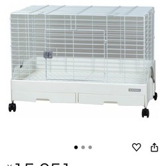 うさぎ ゲージの画像