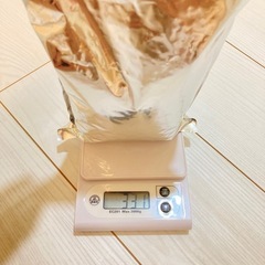 モルモット、小動物ごはんセットの画像