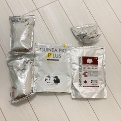 モルモット、小動物ごはんセットの画像