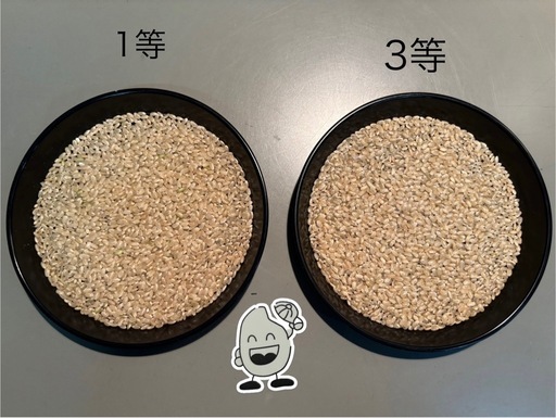 6年産コシヒカリ玄米3等30kg