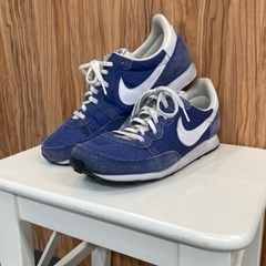 【 NIKE・ナイキ 】スニーカー 👟 BLUE，の画像