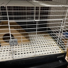うさぎ　ゲージの画像