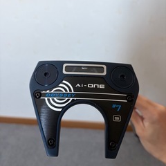 パターの画像