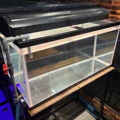 900水槽 大型水槽　水槽機材　90cm水槽 水槽用品の画像