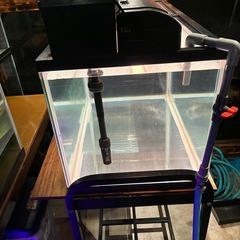 900水槽 大型水槽　水槽機材　90cm水槽 水槽用品の画像