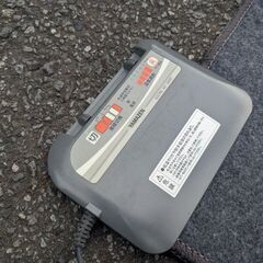 ホットカーペットとカバーの画像