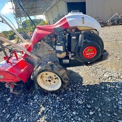 耕運機 ヤンマーMRT650 うねたね　ポチ管理機 YANMAR 耕うん機　ポチ　屋内保管の画像