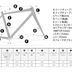 コーダーブルーム　RAIL20　20インチの画像