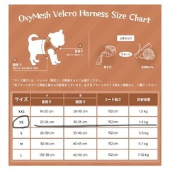 犬用 ハーネス リード セット の画像