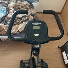 エアロバイク　ALINCOの画像