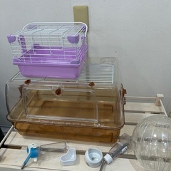 ハムスターゲージand木製棚の画像