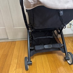 サイベックスリベル2023 　シーシェルベージュの画像