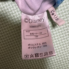 アナと雪の女王　水着　120センチの画像