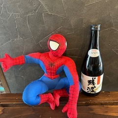 スパイダーマン
の画像