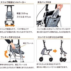 【新品】シルバーカー/テイコブシプールの画像