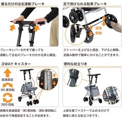 【新品】シルバーカー/テイコブシプールの画像