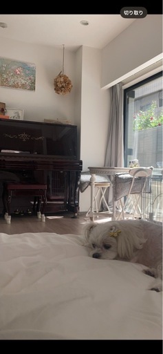 サラグレース　シャビーシック家具