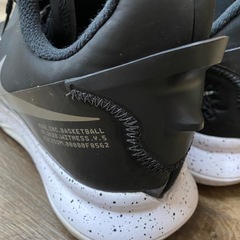 Nike LeBron Witness 5  　27.5cmの画像