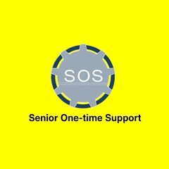 Senior（シニアスタッフ）が One-time（単発）で S...