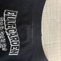 ELLEGARDEN SUMMER PARTY Tシャツの画像