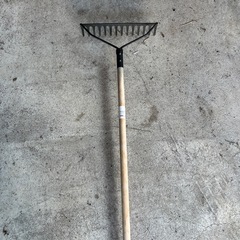 アメリカンレーキの画像