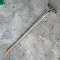 アメリカンレーキの画像