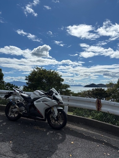 CBR250RR MC51 交換可能