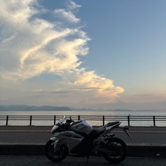 CBR250RR MC51 交換可能 mc19希望の画像