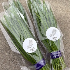 新鮮野菜✨　【無農薬】ニラ　¥100の画像