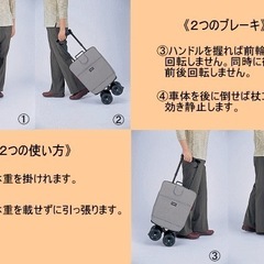 新品　キャリーステッキの画像