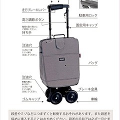 新品　キャリーステッキの画像