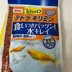 【譲渡決定】メダカ 餌やカルキ抜きなど12点 まとめ売りの画像