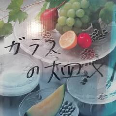 大皿サラダボールの画像
