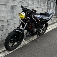 TZR50R 4EU  68.8ccボア VM20キャブ TZMラジエータの画像