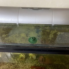 60㎝水槽+その他の画像