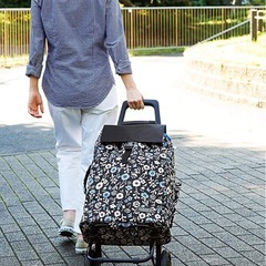 【美品】ショッピングカートの画像