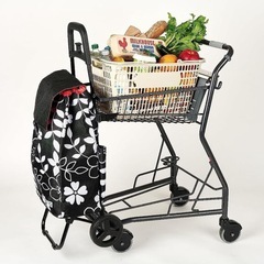 【美品】ショッピングカートの画像