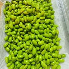 野菜　枝豆　1袋700g以上　10/15収穫　限定2袋のみ　の画像