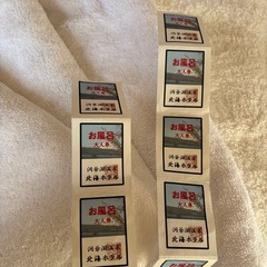 洞爺湖　北海ホテル　日帰り入浴セットの画像