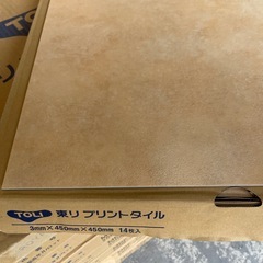 【14枚入】東リ フロアタイル 450×450×3mmロイヤルストーンpPST4124の画像