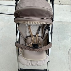 BABY ZENの画像