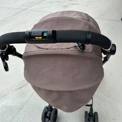 BABY ZENの画像