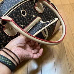 
犬と出掛ける時のバックの画像